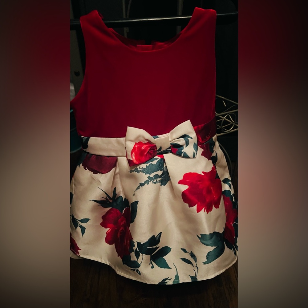 The Children's Place Red and Floral Dress
